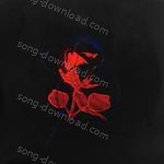 Stwo Songs MP3 Download